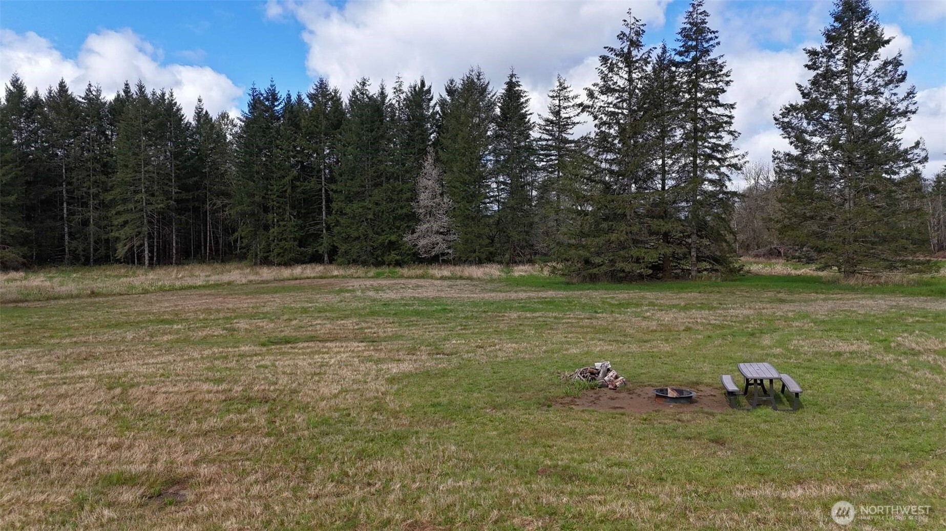 a view of a field with an trees in the background