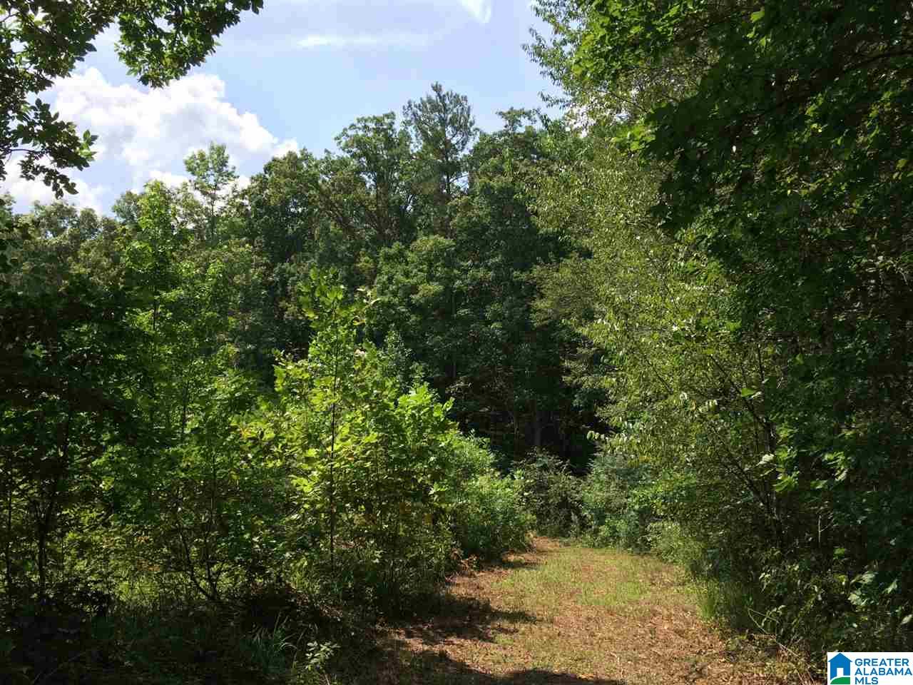Spunky Hollow Road, Unit 18 7 Oneonta, AL 35121 - Photo 44 of 46