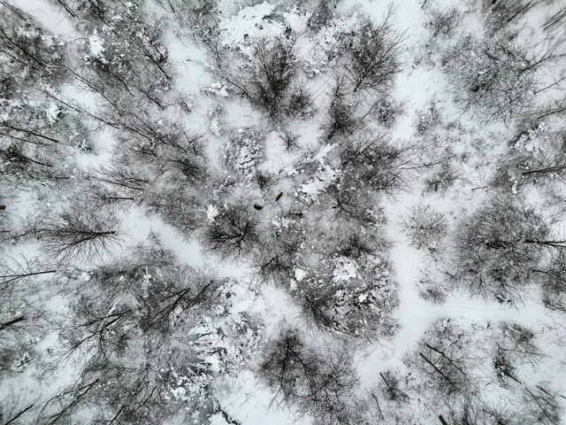 $649,900 | 10886 Douglas Drive, Allendale, MI 49401