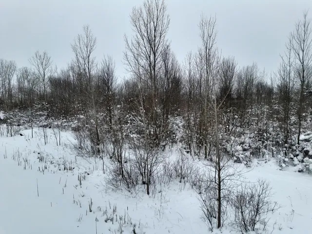 $649,900 | 10886 Douglas Drive, Allendale, MI 49401