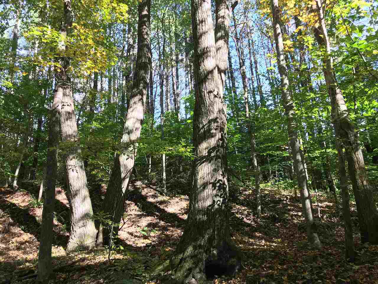 235 Grassy Brook Road Brookline, VT 05345 - Photo 19 of 26