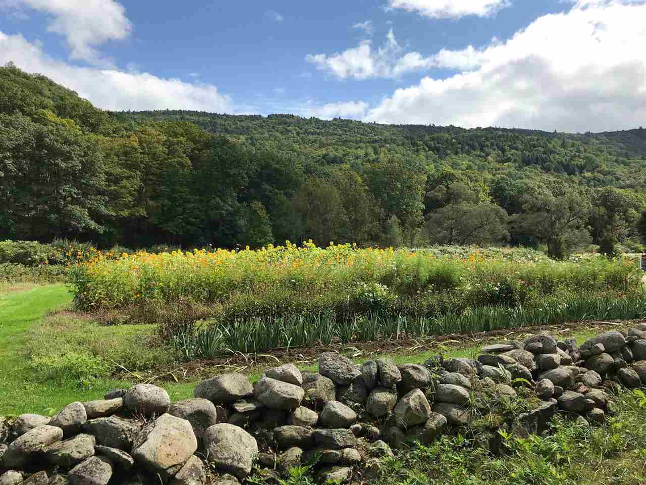 235 Grassy Brook Road Brookline, VT 05345 - Photo 23 of 26