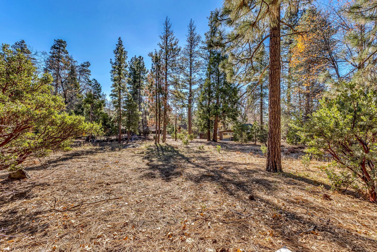 25740 Fir Street Idyllwild, CA 92549 - Photo 36 of 45 Untitled