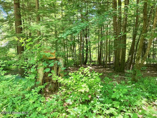 150 Flat Rock Road Lake George, NY 12845 - Photo 24 of 24 IMG_0376