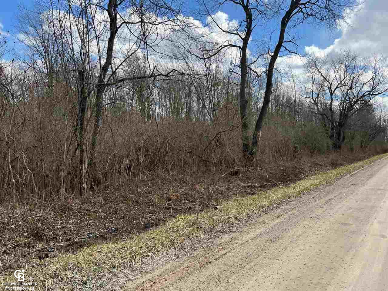 3 Gleason Road Emmett, MI 48022 - Photo 1 of 5