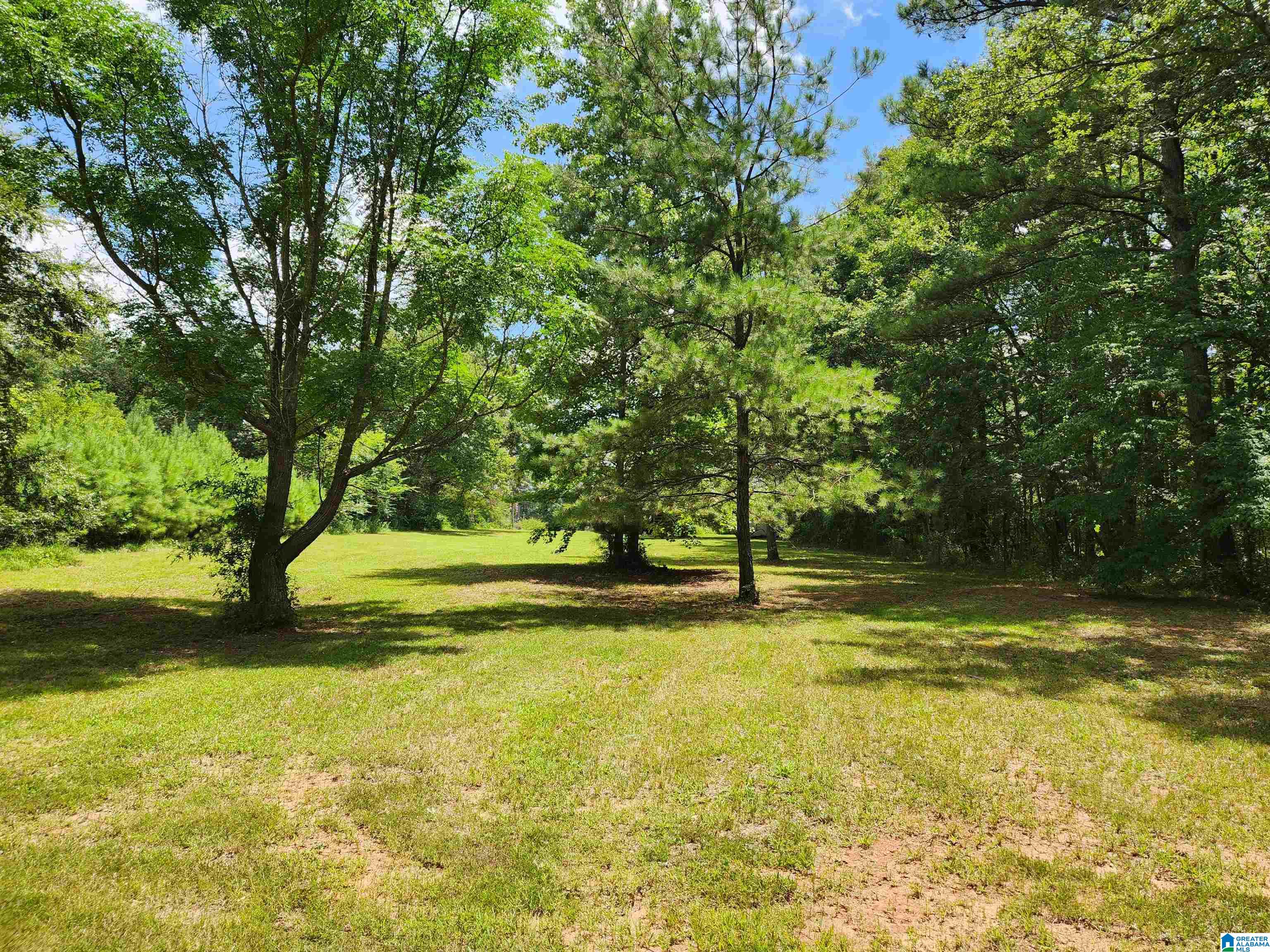 2262 Smokey Road Alabaster, AL 35007 - Photo 44 of 49