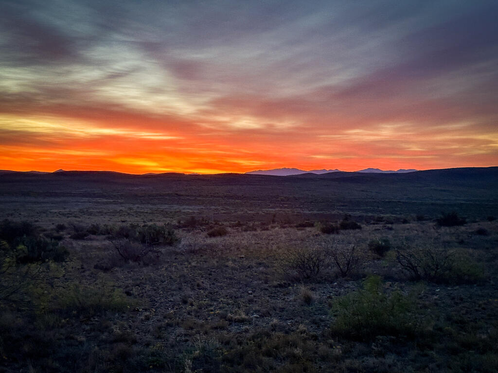 1012 Mingo Alpine, TX 79830 - Photo 47 of 53 Gallery Image 47