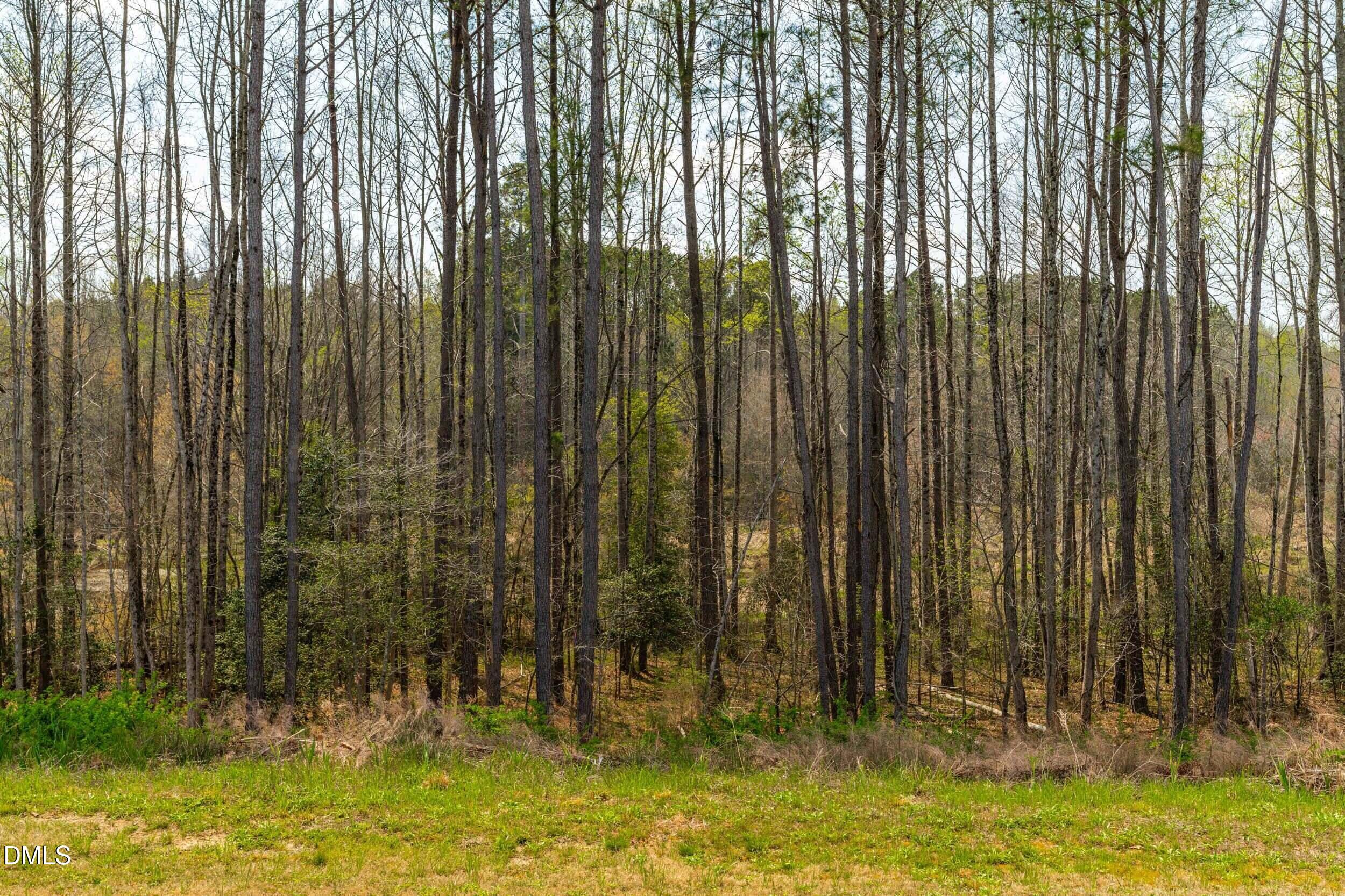 761 Riguard Way Wendell, NC 27591 - Photo 41 of 41