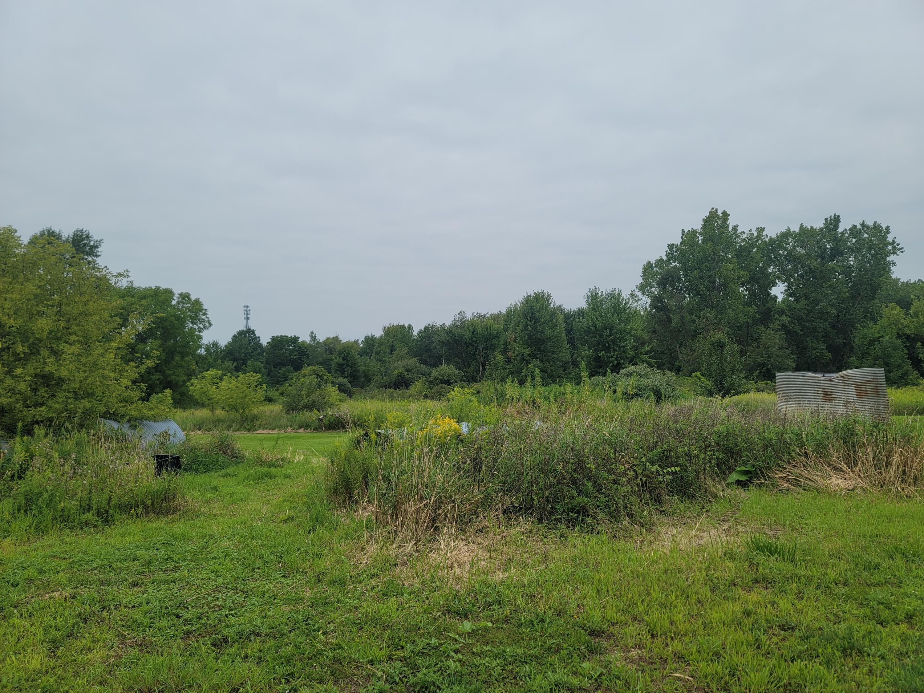586 Dayburg Road Coldwater, MI 49036 - Photo 39 of 40 20230820_112823