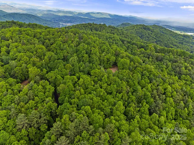 a view of a big yard with lots of green space
