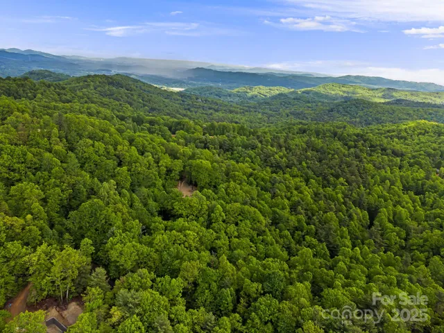 a view of a green field with lots of bushes