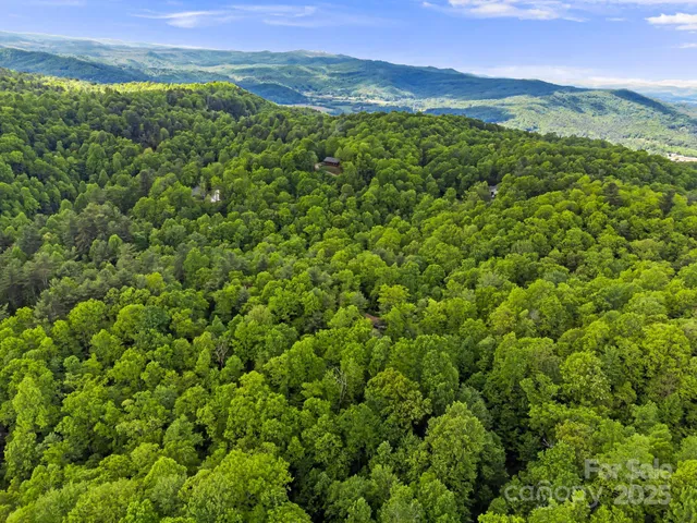 a view of a lush green forest with a lush green hillside and a mountain