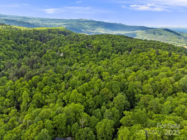 a view of a lush green forest with a houses