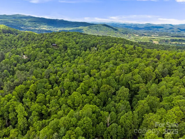 a view of a lush green hillside and a mountain