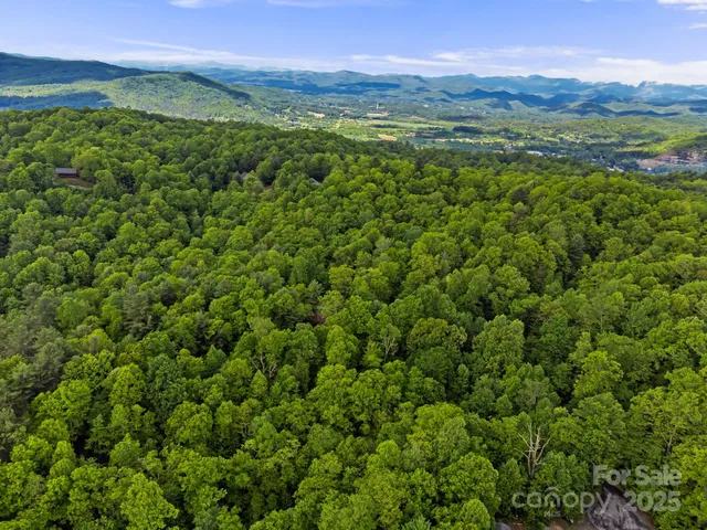 a view of a lush green forest with a lush green forest