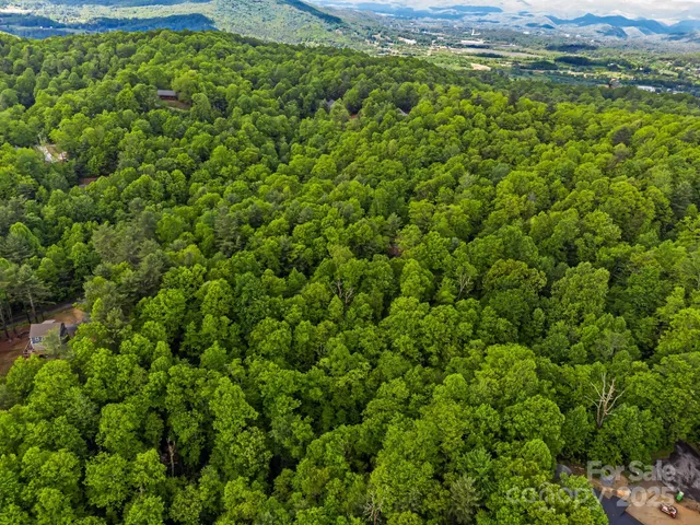 a view of a lush green field