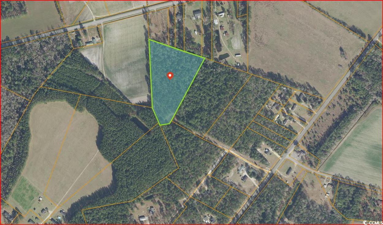 Tbd Coulee Road Nichols, SC 29581 - Photo 3 of 5 Gallery Image 3