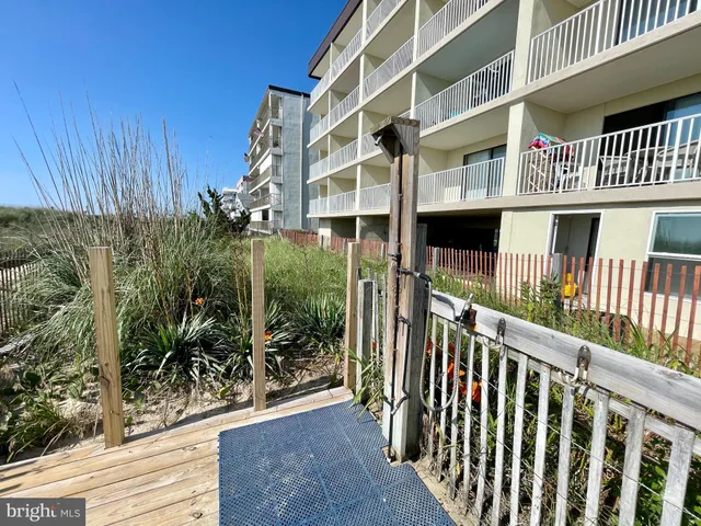 a view of a lake from a yard