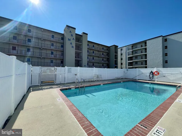 a backyard with tall trees