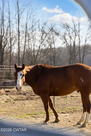 $549,900 | 1039 Concord Road, Gates, TN 38037