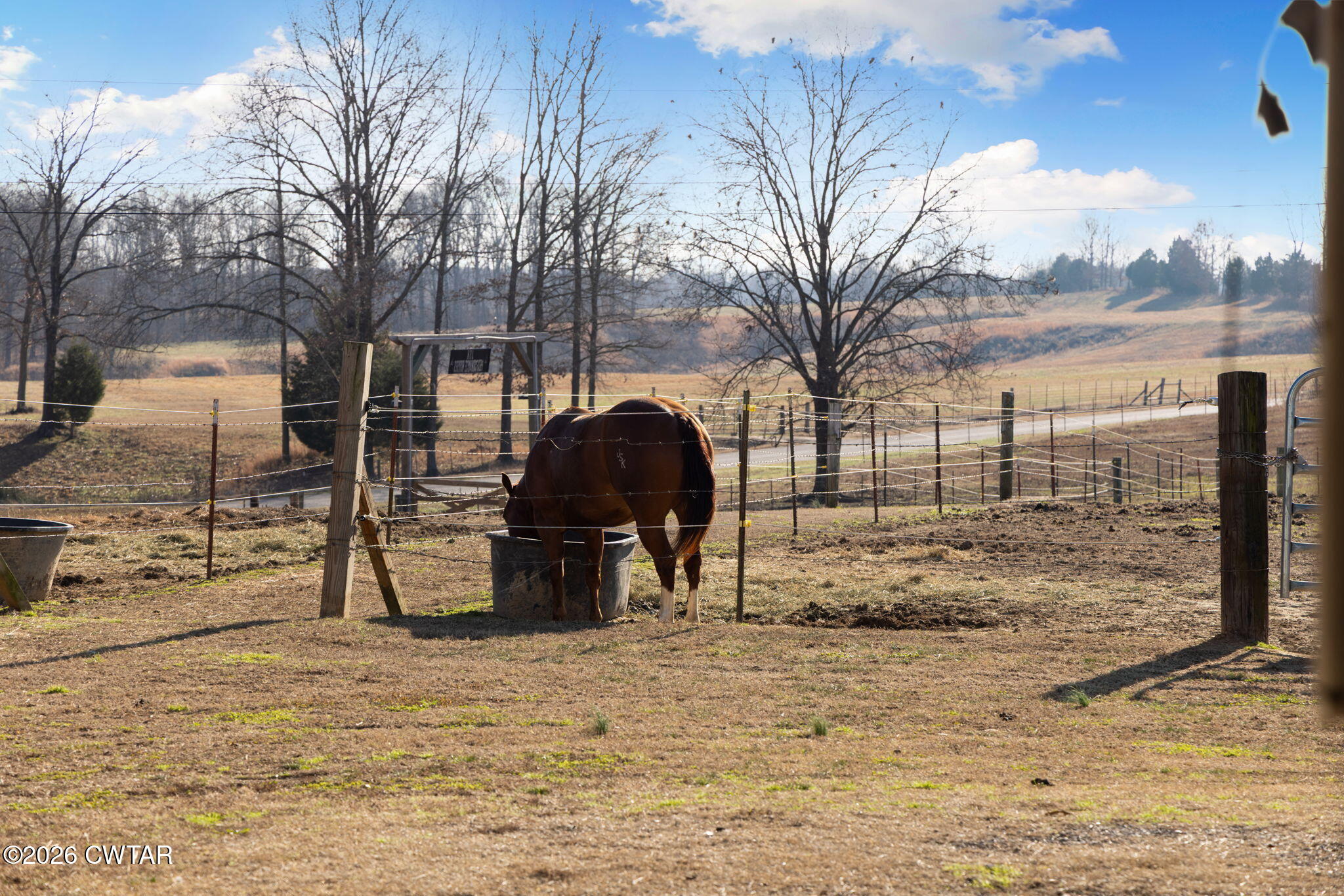 1039 Concord Road Gates, TN 38037 - Photo 105 of 152 104-web-or-mls-079A8817