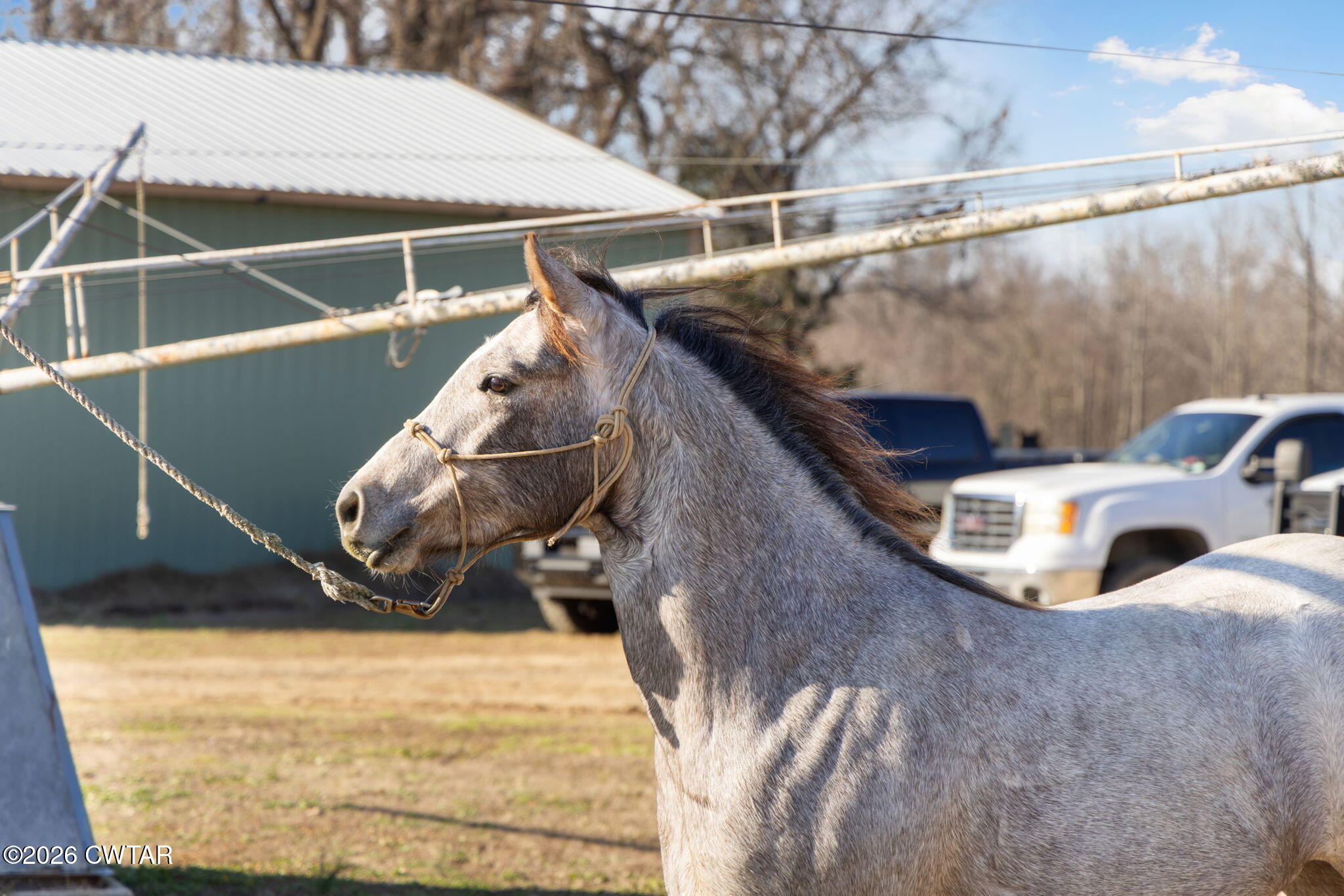 1039 Concord Road Gates, TN 38037 - Photo 110 of 152 111-web-or-mls-079A8831