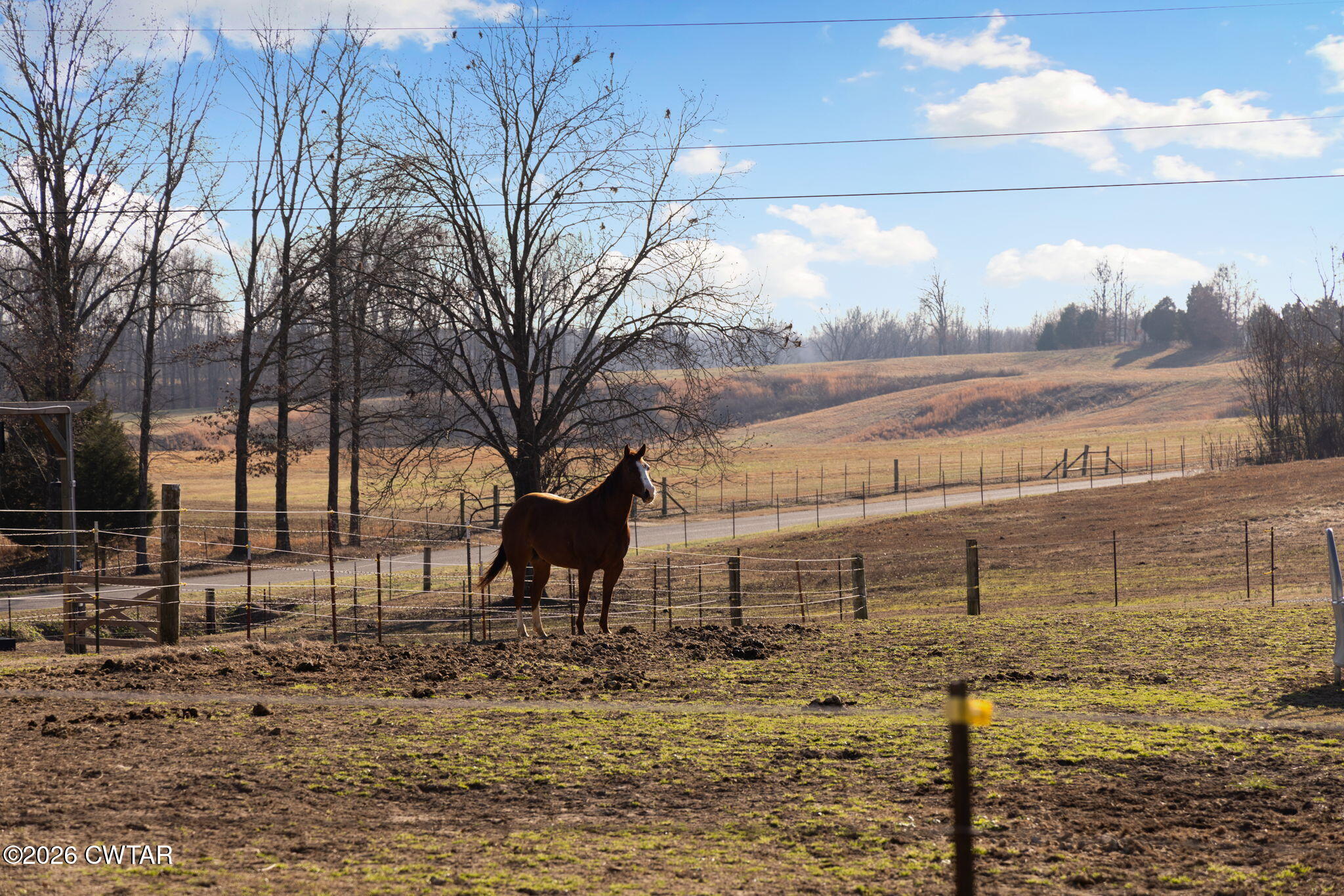1039 Concord Road Gates, TN 38037 - Photo 111 of 152 112-web-or-mls-079A8833