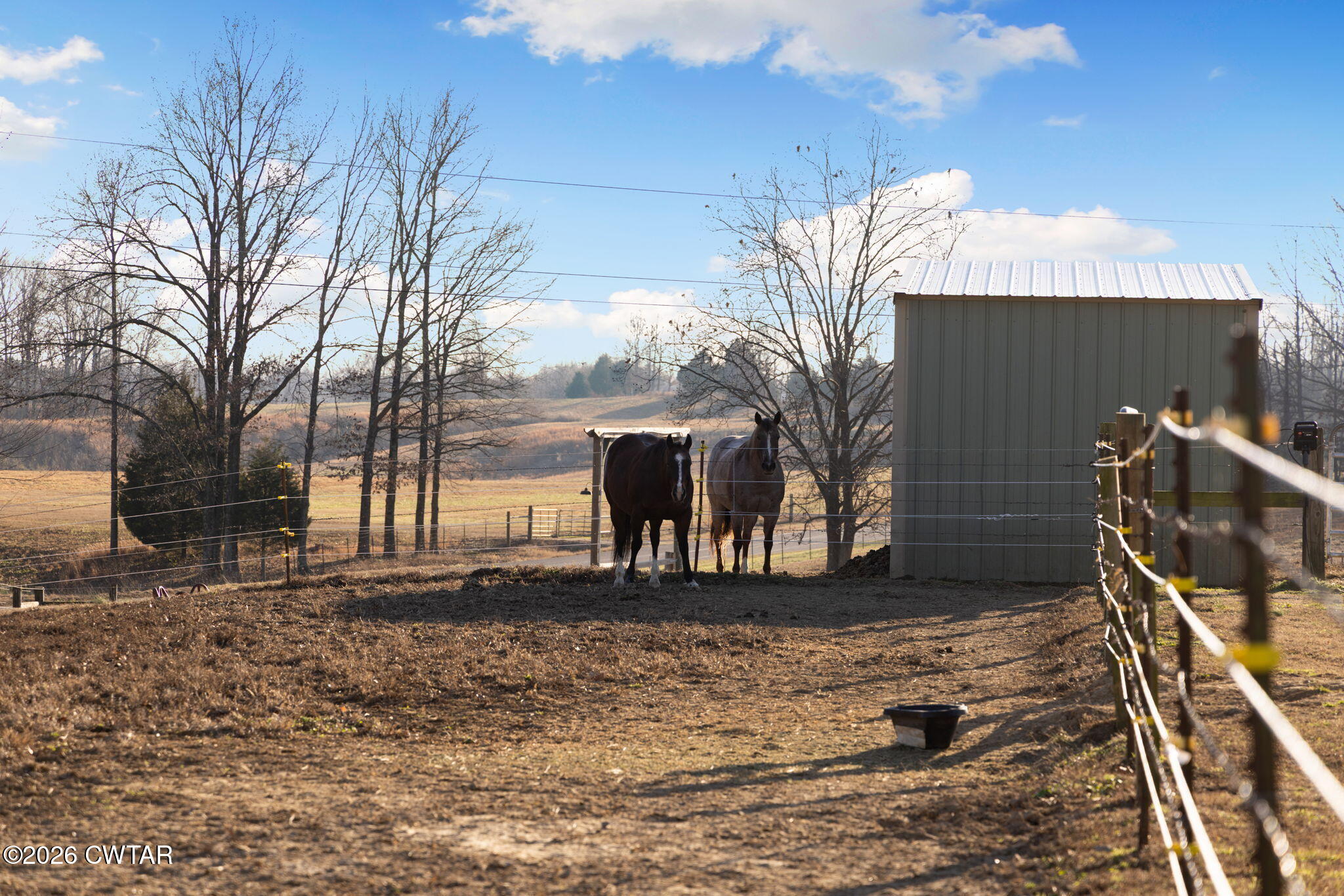 1039 Concord Road Gates, TN 38037 - Photo 113 of 152 114-web-or-mls-079A8835
