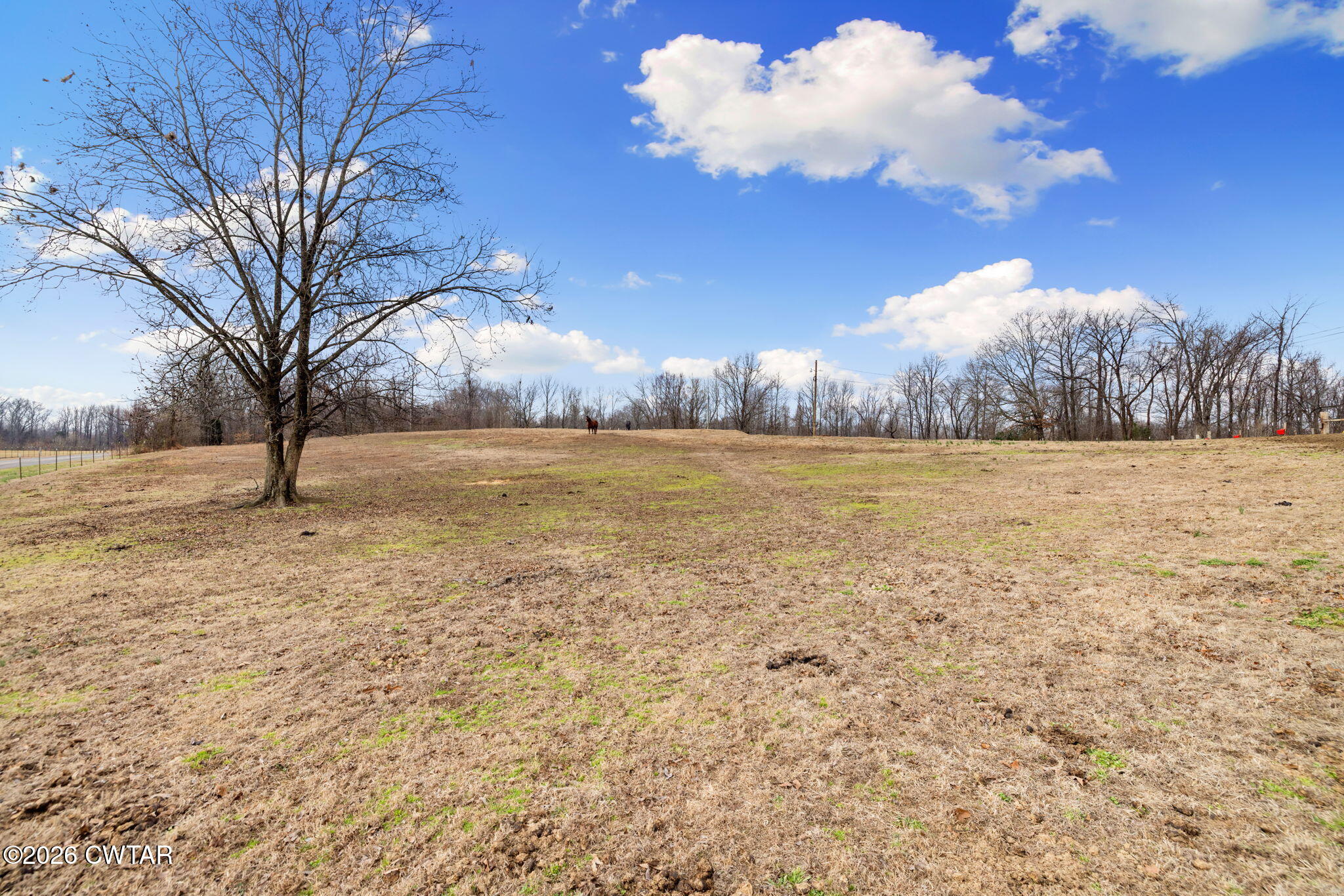 1039 Concord Road Gates, TN 38037 - Photo 44 of 152 6-web-or-mls-079A8439