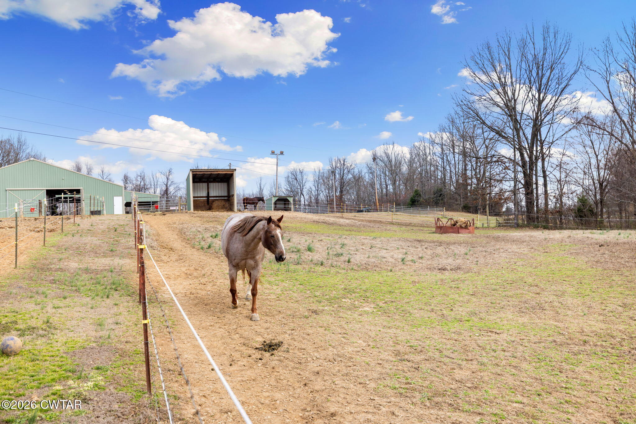 1039 Concord Road Gates, TN 38037 - Photo 45 of 152 7-web-or-mls-079A8441
