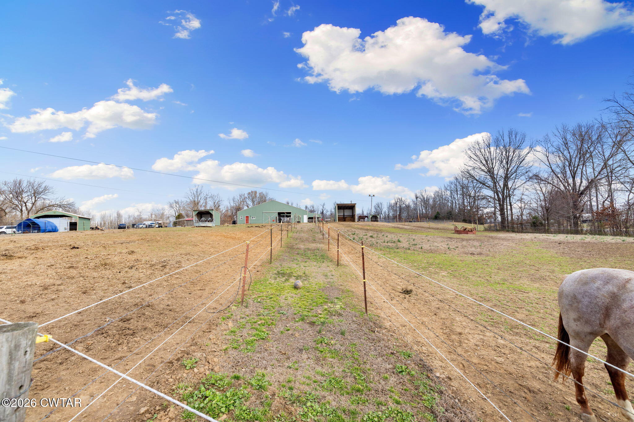 1039 Concord Road Gates, TN 38037 - Photo 46 of 152 8-web-or-mls-079A8443