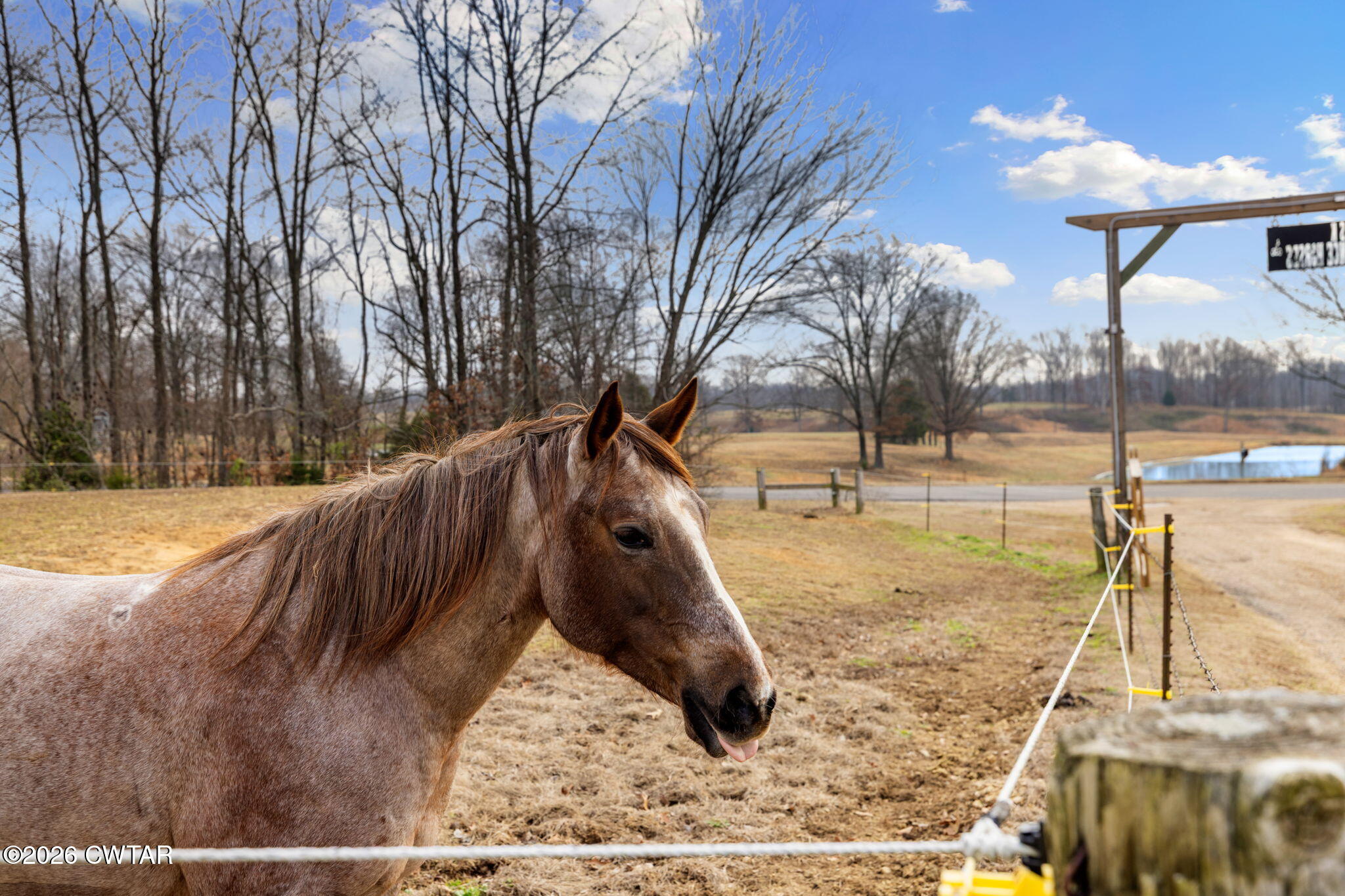 1039 Concord Road Gates, TN 38037 - Photo 47 of 152 9-web-or-mls-079A8445