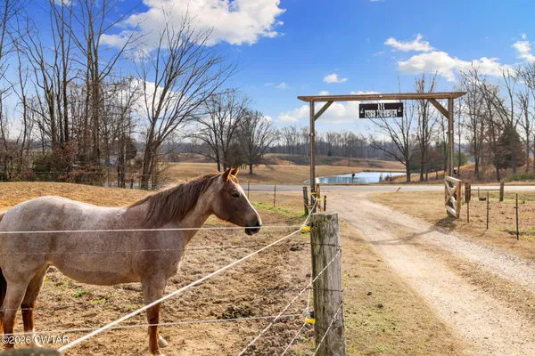 a view of swimming pool with outdoor seating and city view
