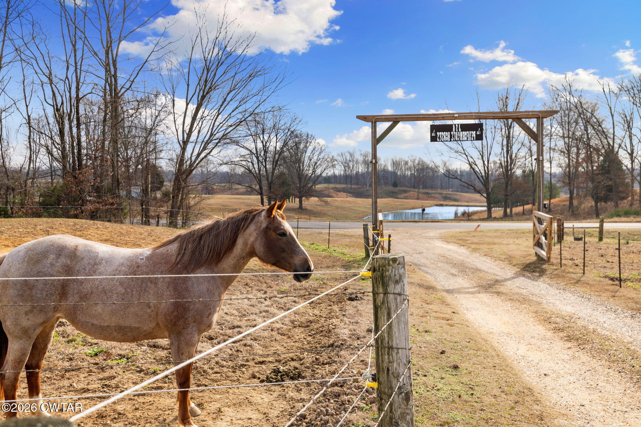 1039 Concord Road Gates, TN 38037 - Photo 49 of 152 11-web-or-mls-079A8447