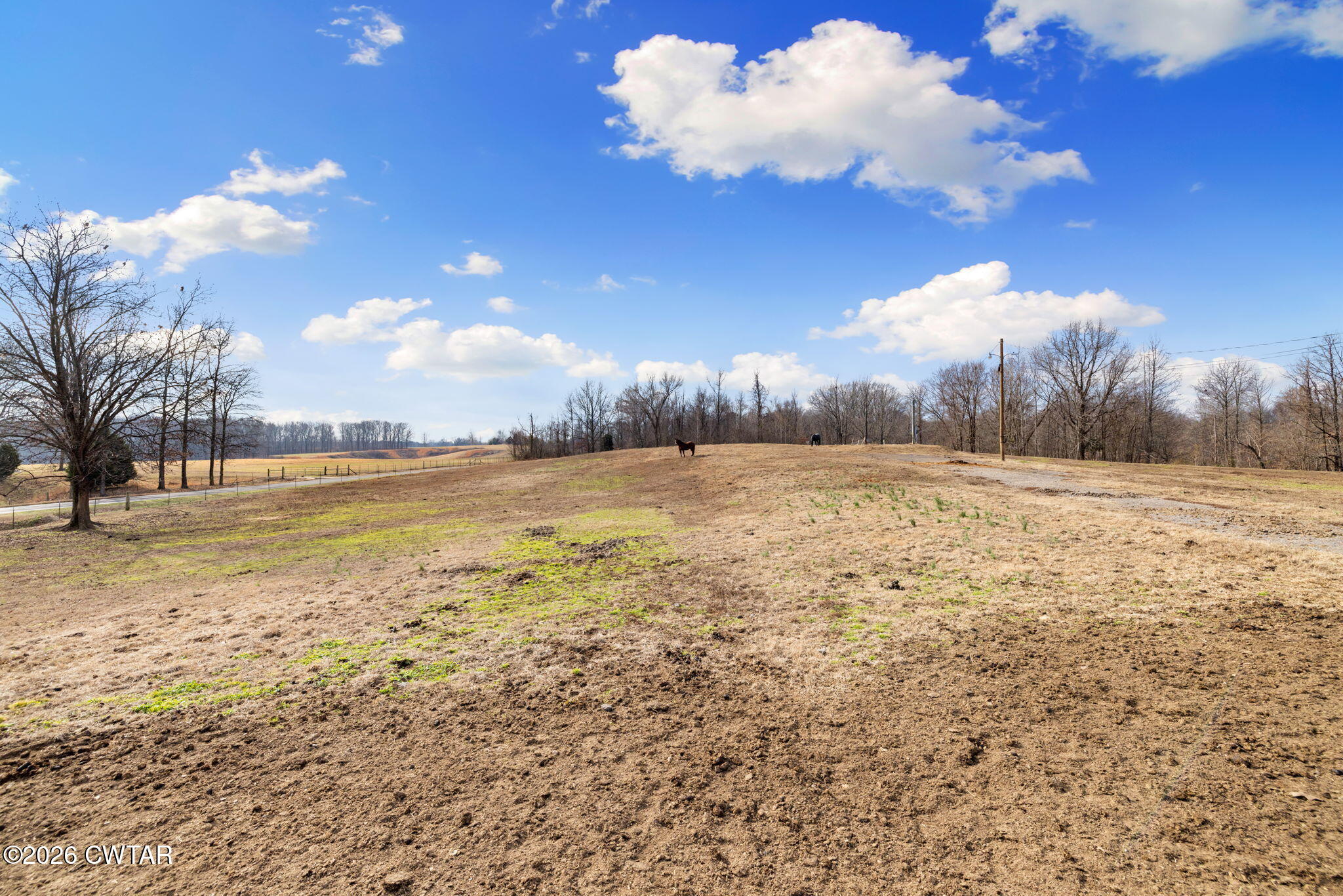 1039 Concord Road Gates, TN 38037 - Photo 50 of 152 12-web-or-mls-079A8448