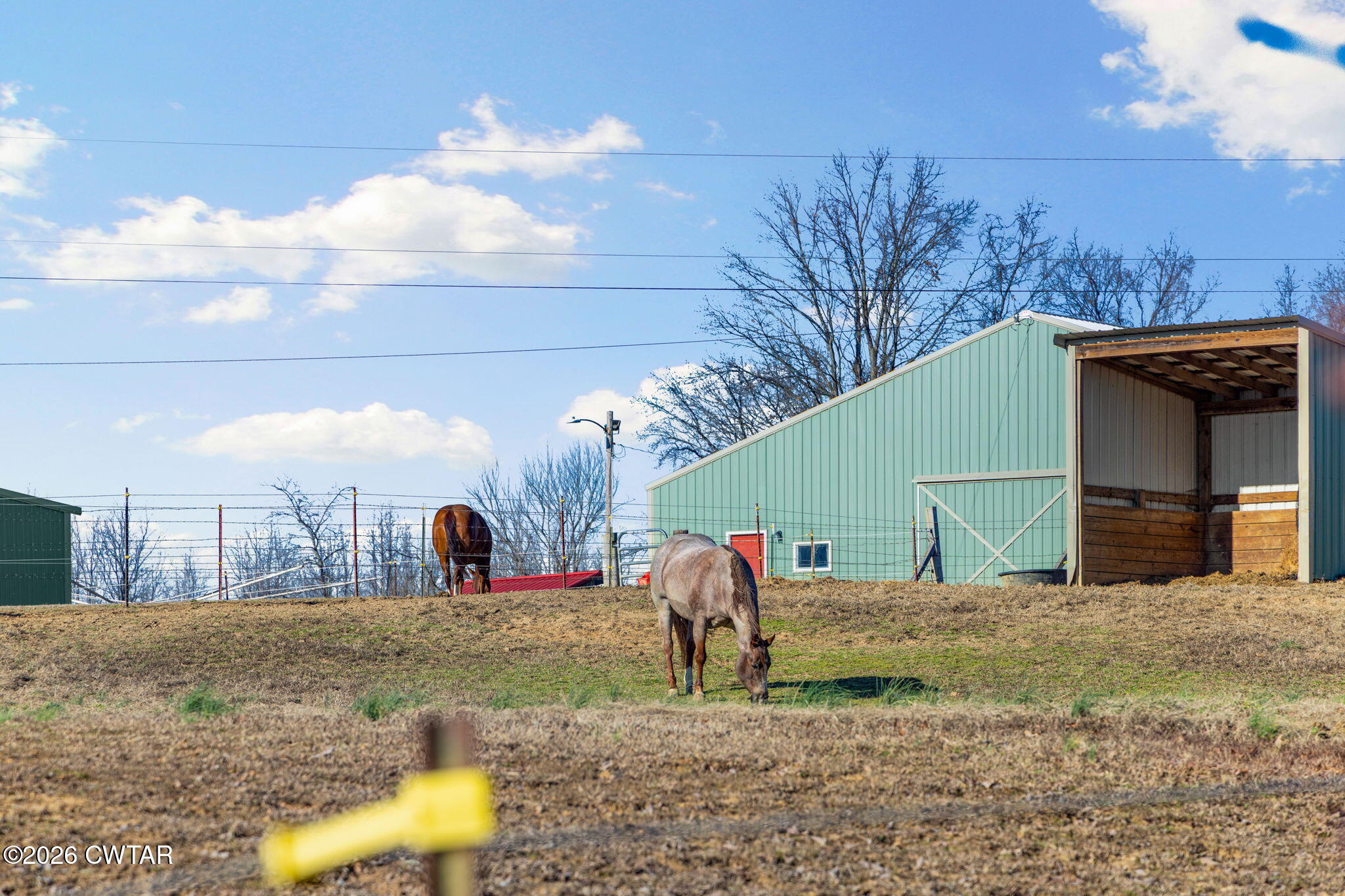 1039 Concord Road Gates, TN 38037 - Photo 93 of 152 93-web-or-mls-079A8799