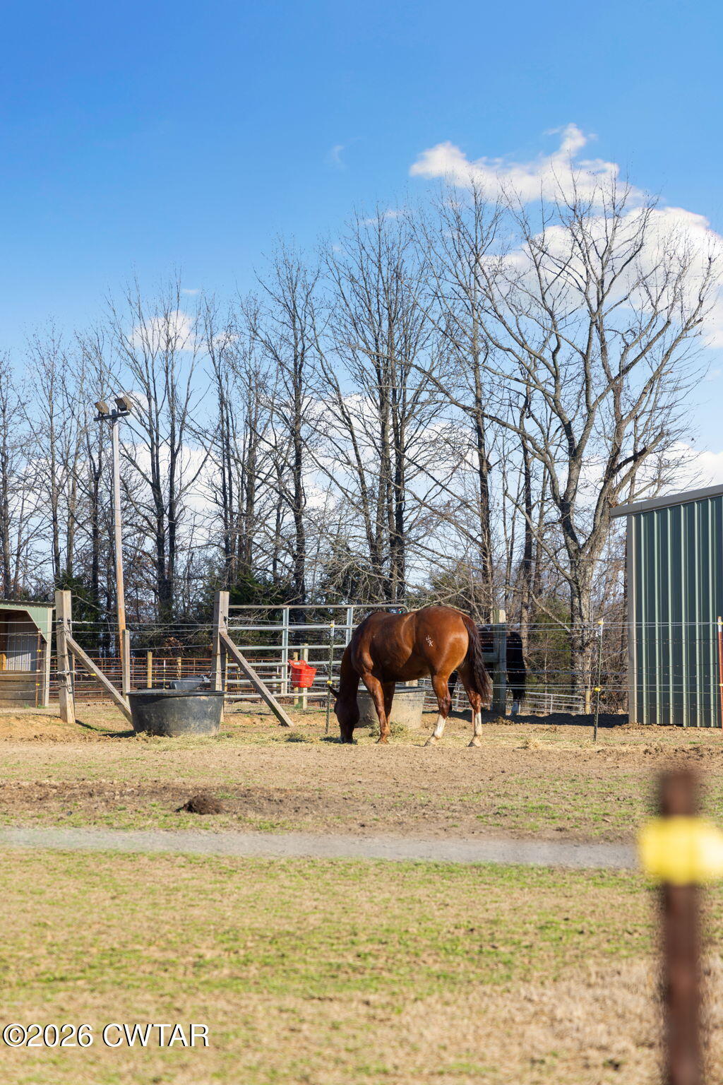 1039 Concord Road Gates, TN 38037 - Photo 96 of 152 96-web-or-mls-079A8804