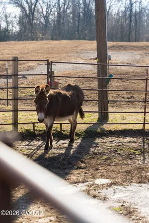 $549,900 | 1039 Concord Road, Gates, TN 38037