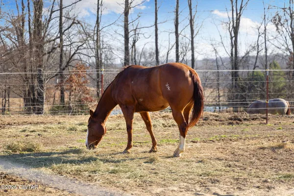 $549,900 | 1039 Concord Road, Gates, TN 38037