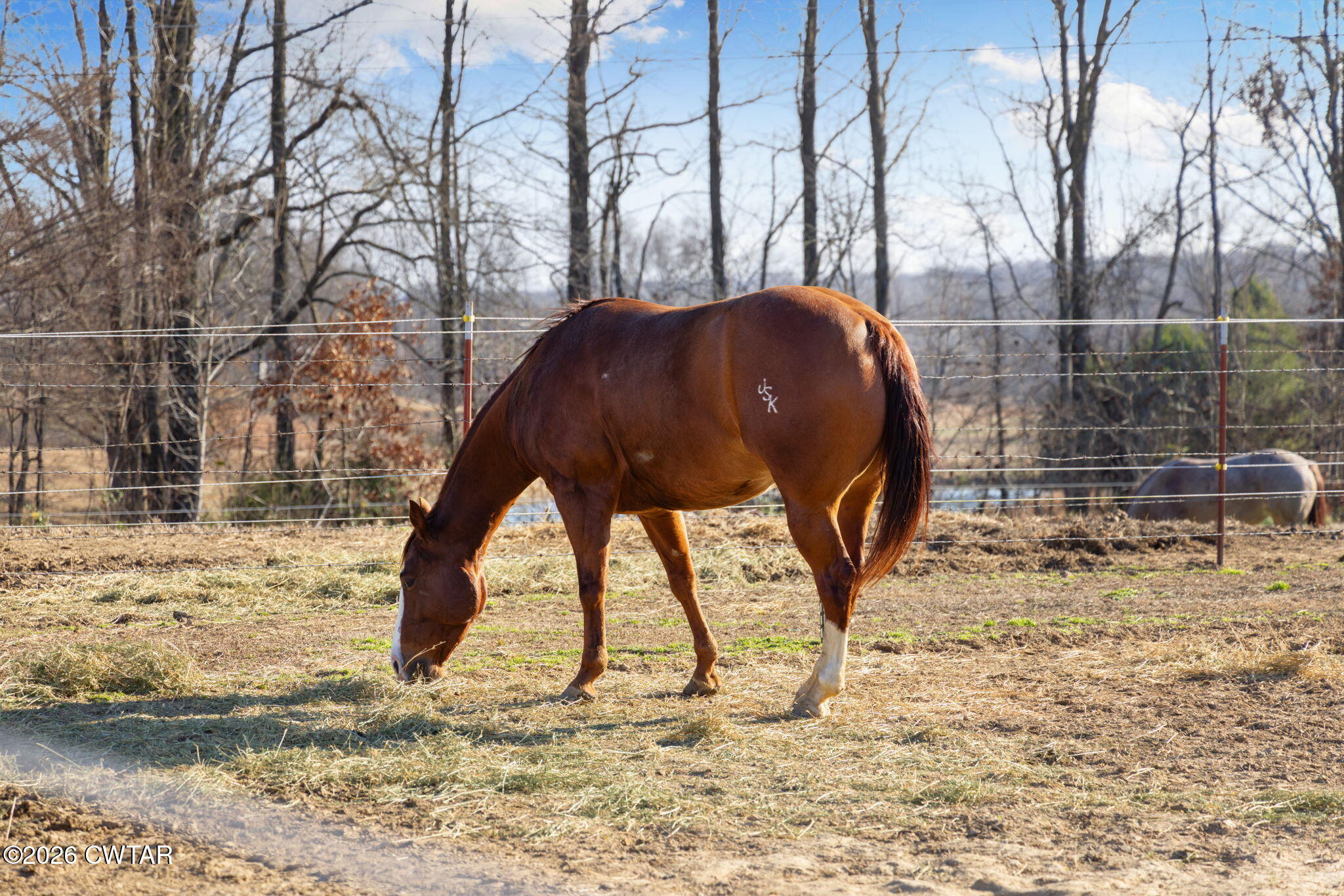 1039 Concord Road Gates, TN 38037 - Photo 100 of 152 100-web-or-mls-079A8810