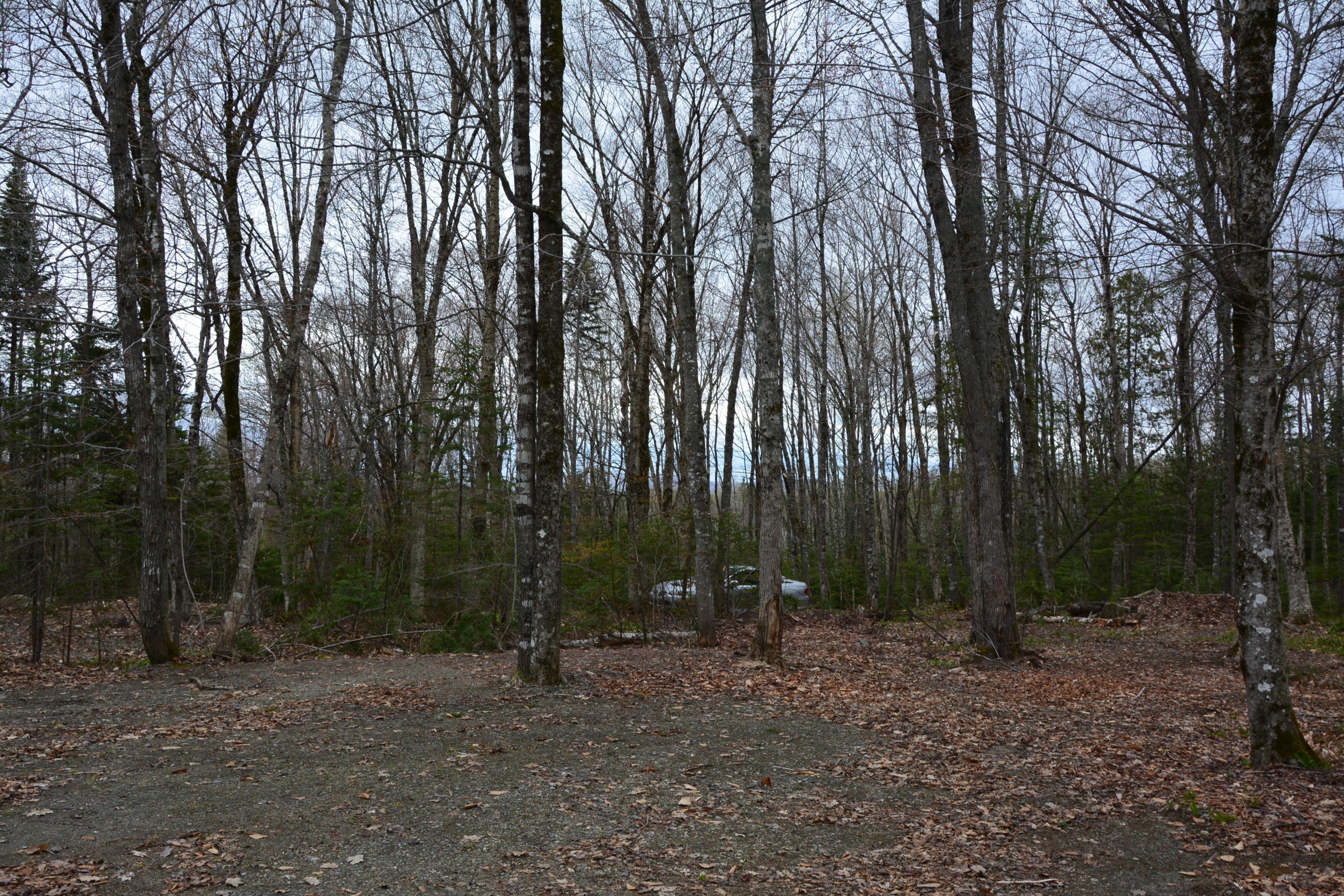 60 Mcglinn Road Houlton, ME 04730 - Photo 19 of 22 DSC_0042