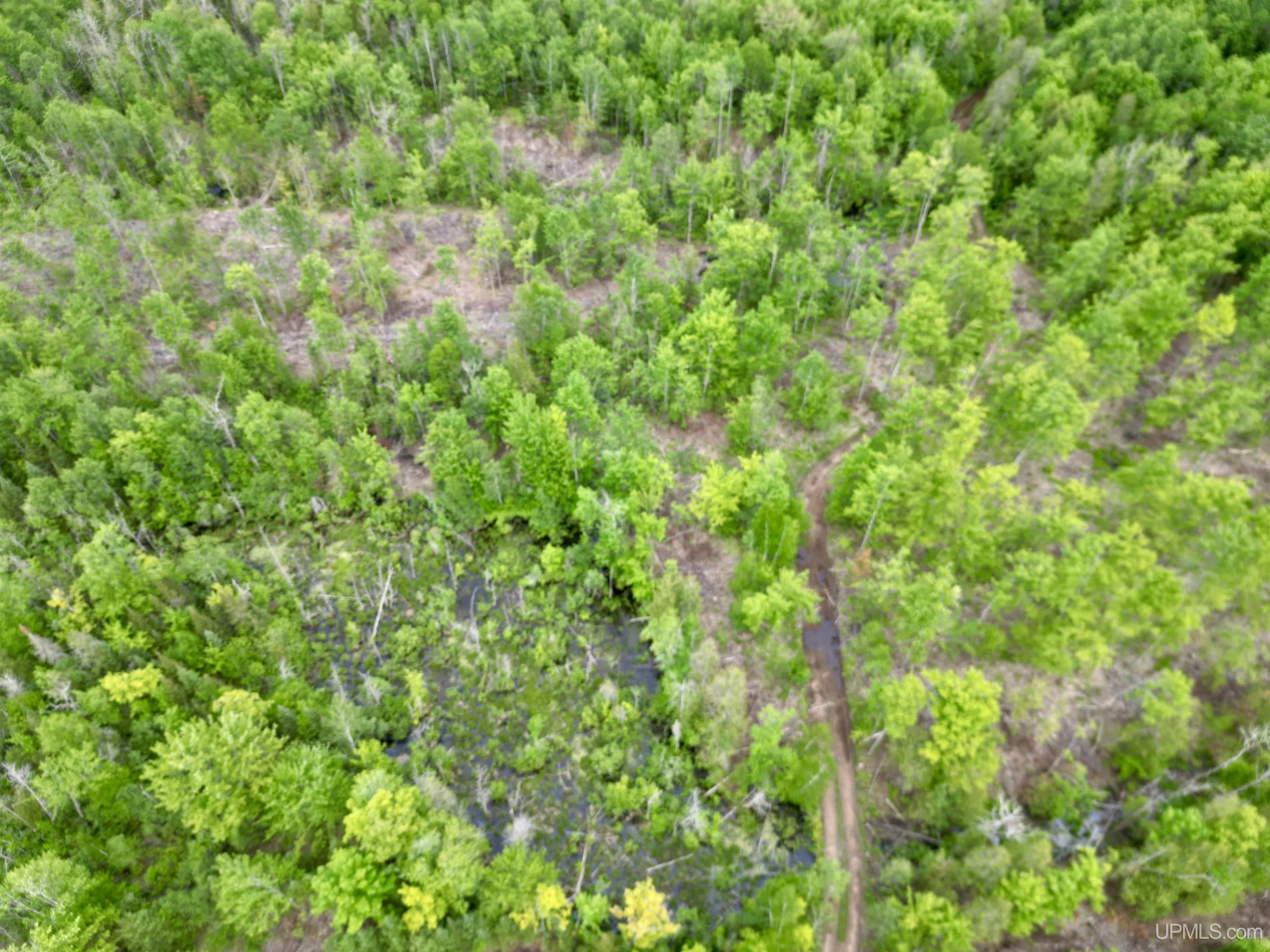 3601 Cr444 Road Rock, MI 49880 - Photo 56 of 78