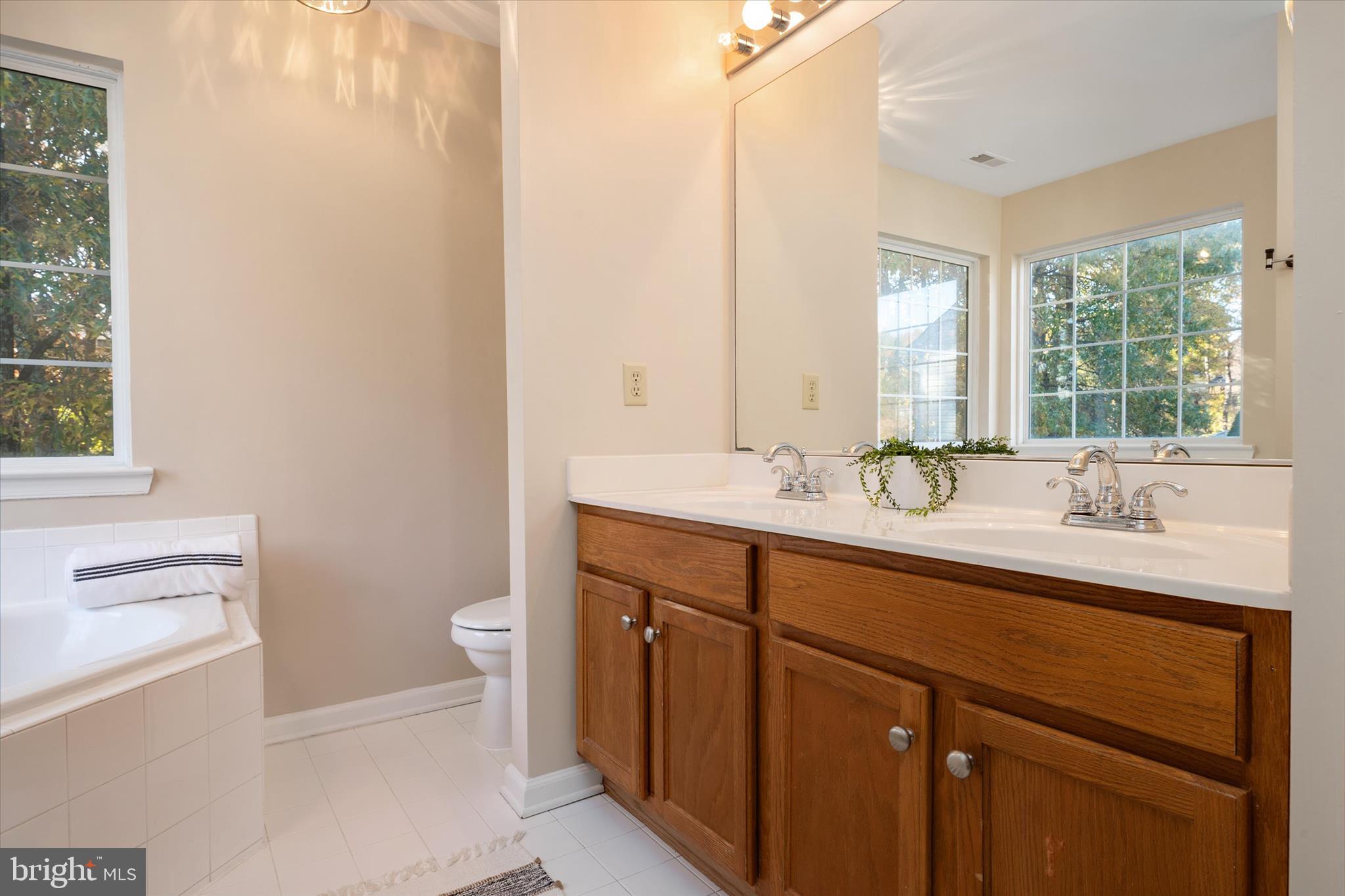 1409 Sweet Cherry Court Severn, MD 21144 - Photo 27 of 56 a bathroom with a double vanity sink toilet and a mirror