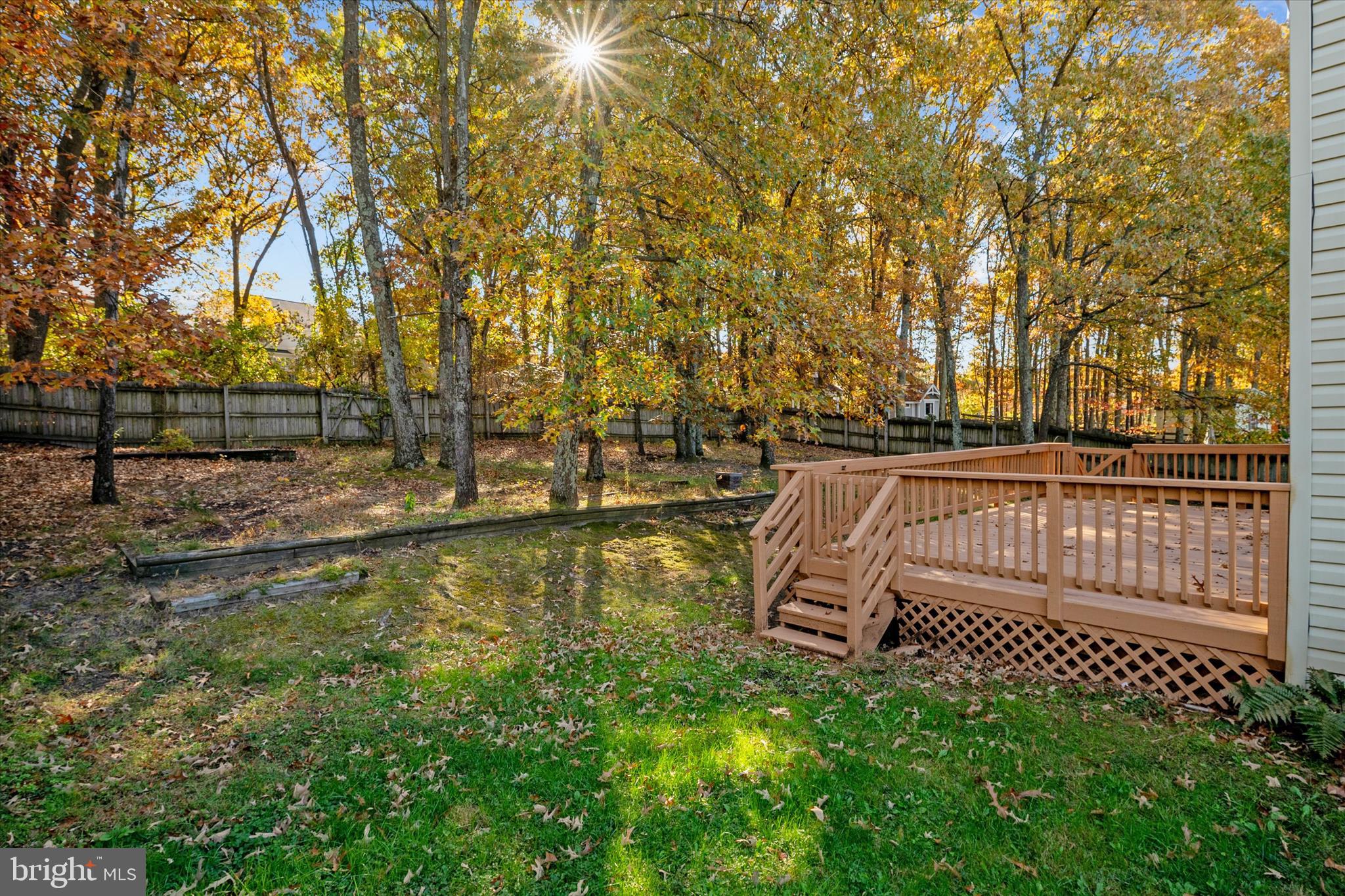 1409 Sweet Cherry Court Severn, MD 21144 - Photo 46 of 56 a view of backyard with green space