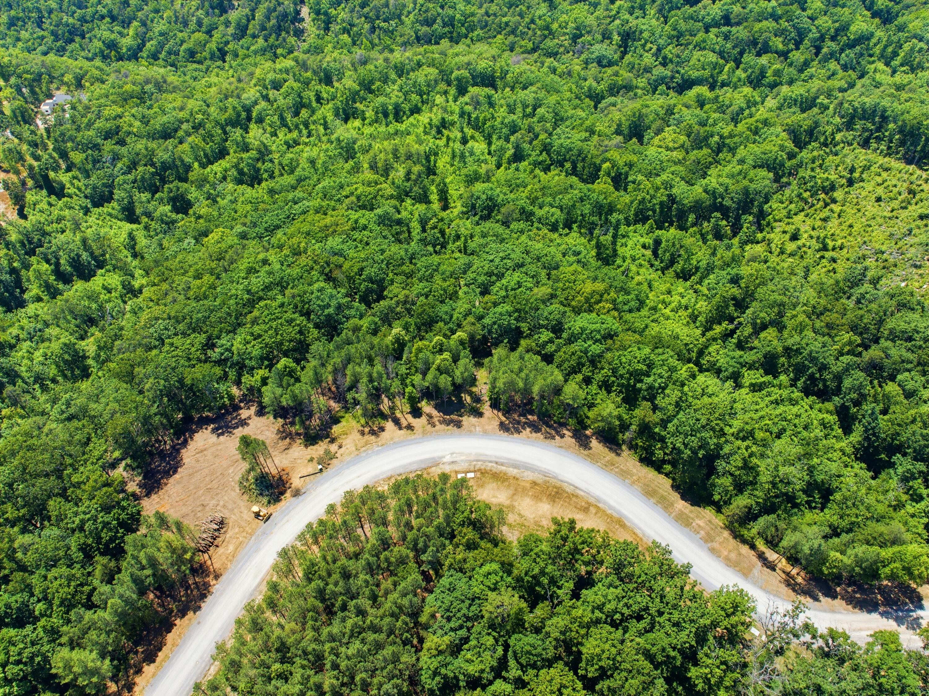 0 Split Rail Way, Unit 1180 Guild, TN 37340 - Photo 8 of 16 Lot 1180