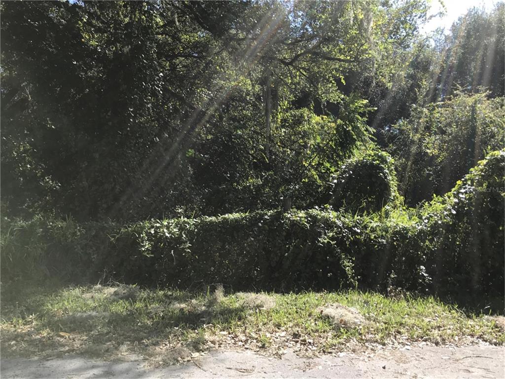 Northwest 2nd Webster, FL 33597 - Photo 2 of 8