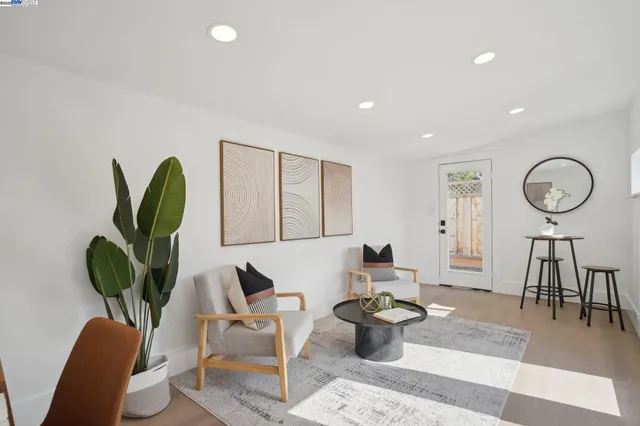 a living room with furniture a rug and a potted plant