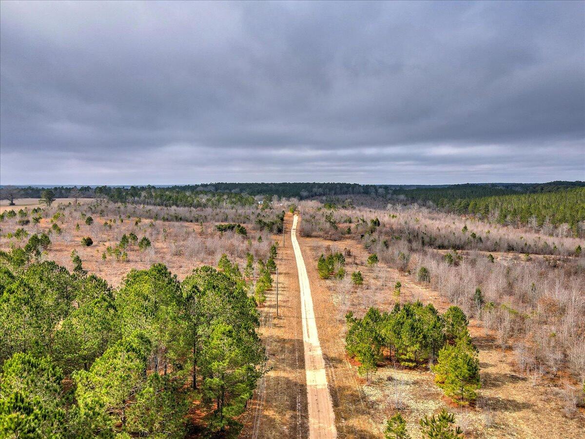 Tr-5 West Wilderness Road Williston, SC 29853 - Photo 2 of 14