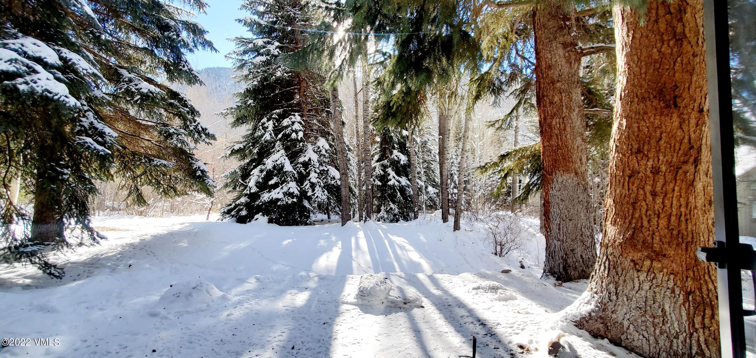 2960 Manns Ranch Road, Unit B Vail, CO 81657 - Photo 1 of 37 Winter yard