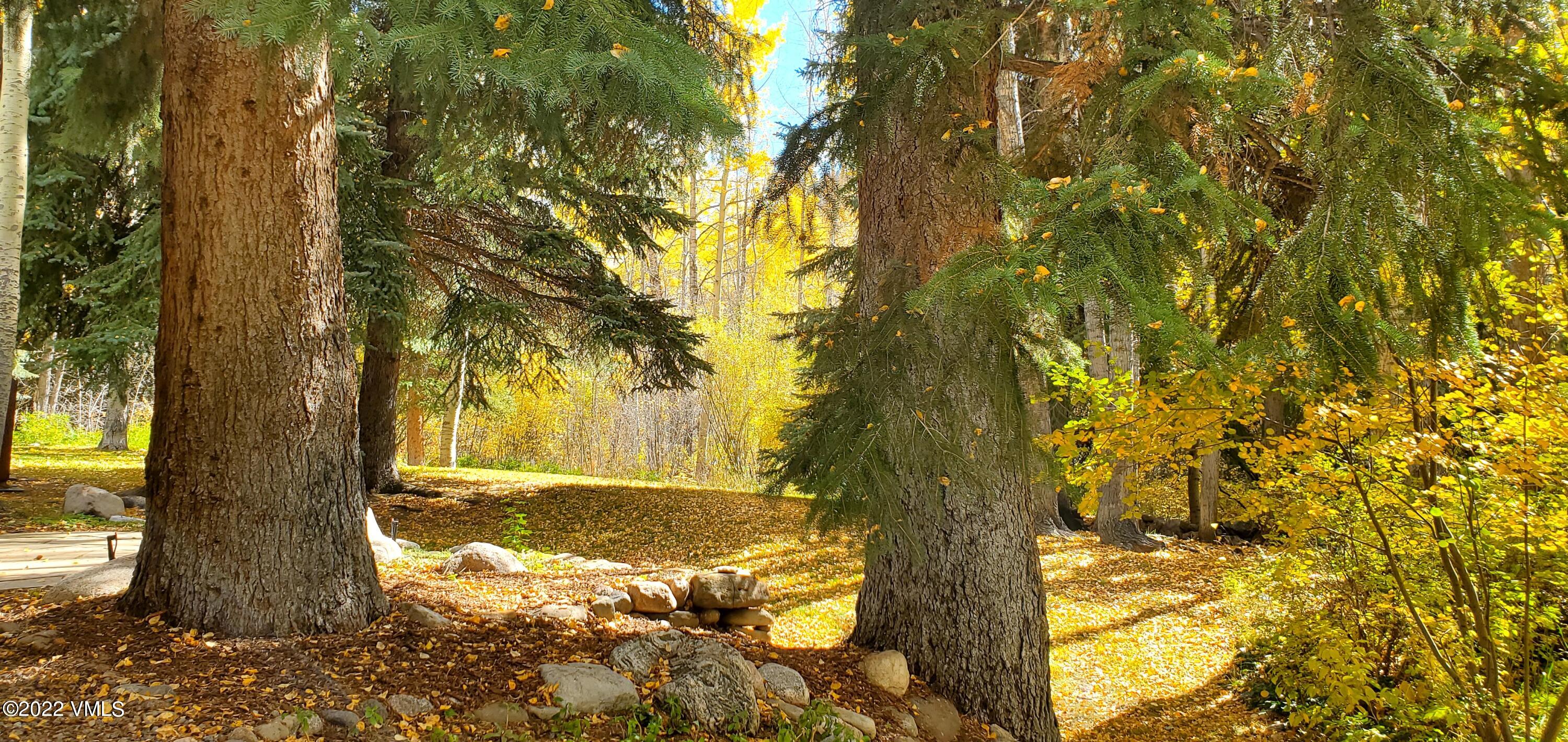 2960 Manns Ranch Road, Unit B Vail, CO 81657 - Photo 18 of 37 Back yard fall